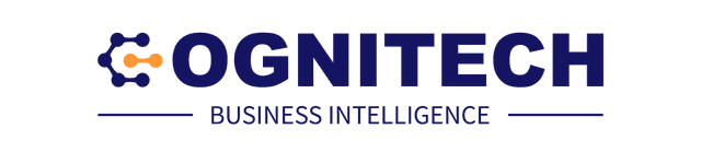 Cognitech Business Intelligence